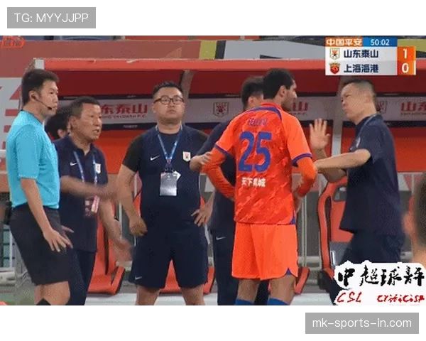 战术犯规的判罚依据与裁判取证要点